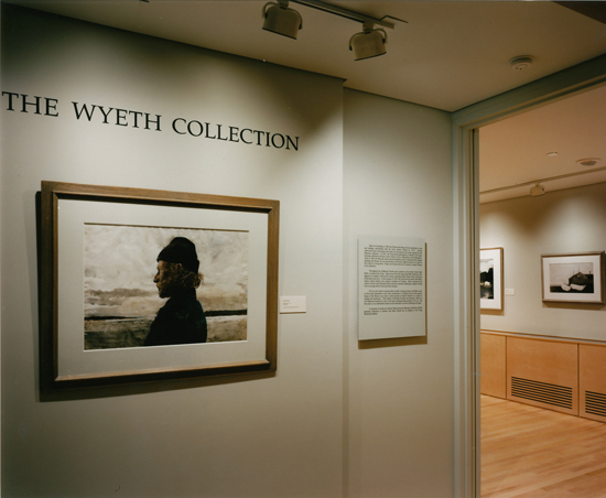 Wyeth Gallery at Farnsworth Museum by Cold Mountain Builders